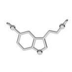 Link pendant - chemical formula - serotonin, silver Link pendant - chemical formula - serotonin, AG 925 silver